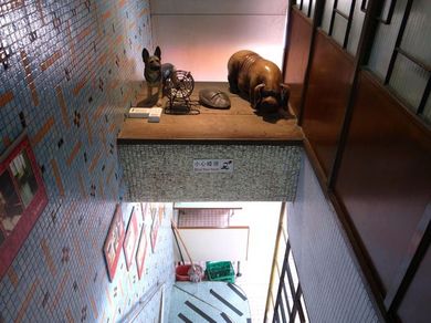 300810_buta.jpg