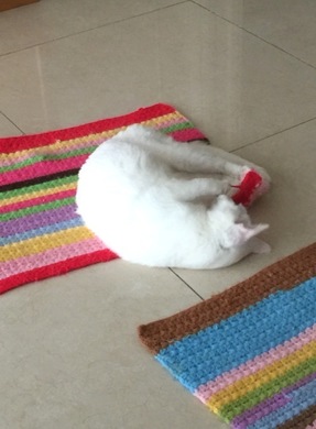 puti2.jpg