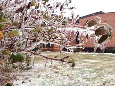 010114_icicle.jpg