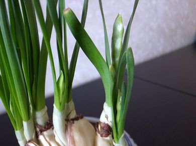 020211_suisen2.jpg