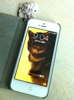 0401_iphone5.jpg