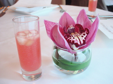 040809_juice1.jpg