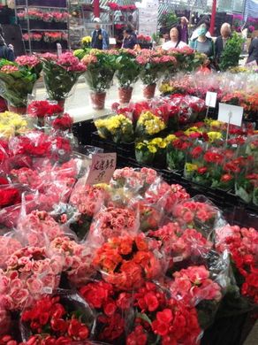 050213_flower1.jpg