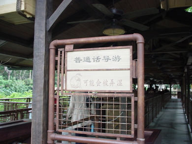 070409_cruise_p.jpg