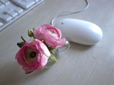 080211_ranunculus2.jpg
