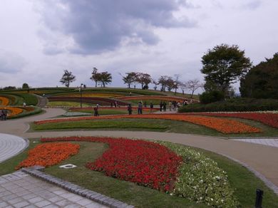 081110_keshiki1.jpg