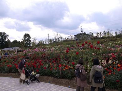081110_keshiki2.jpg