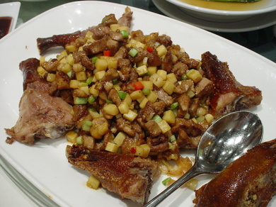 090409_duck.jpg