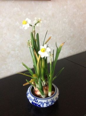 140213_suisen.jpg