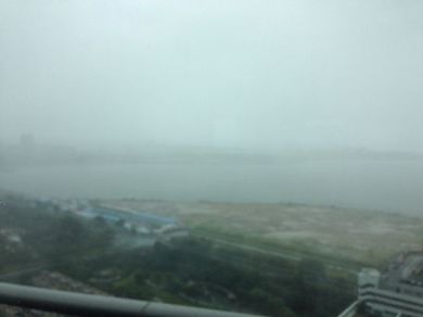 160914_signal8.jpg