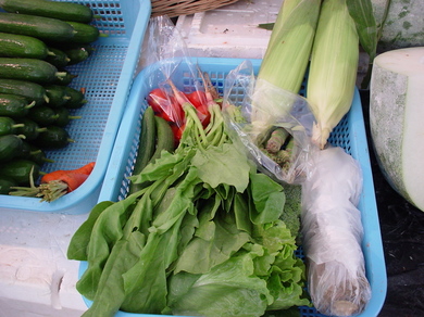 170609_vege.jpg