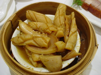 201008_squid.jpg