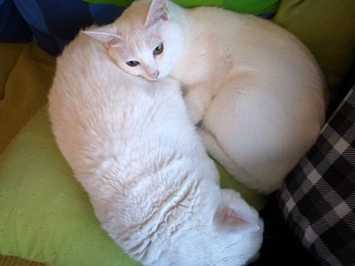 240311_tiaputi2.jpg