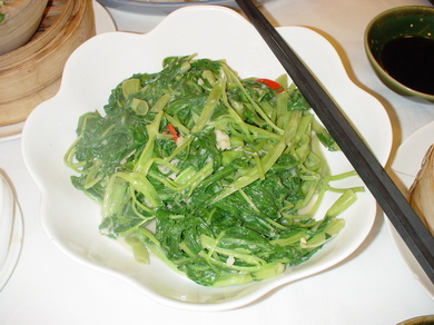 240608_tungchoi.jpg