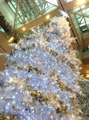 251212_xmastree2.jpg