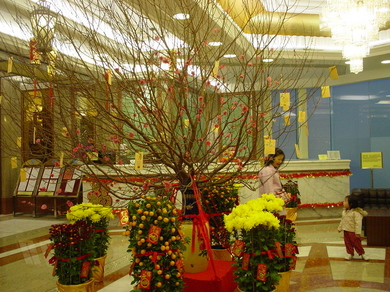 260109_flat_kazari.jpg