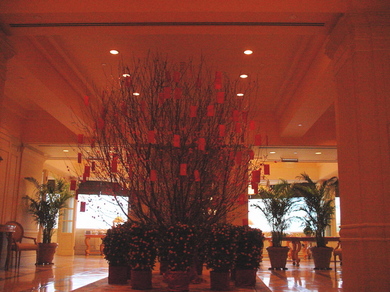 260109_veranda_kazari.jpg
