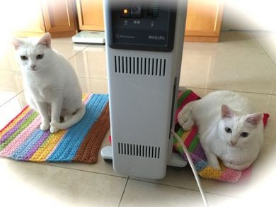 260115_heater2nyan1.jpg