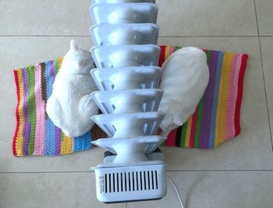 260115_heater2nyan3.jpg