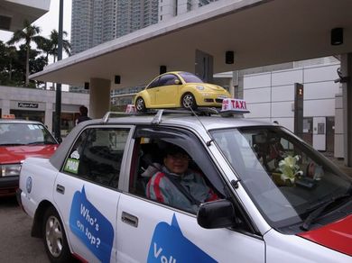 280110_beetle1.jpg