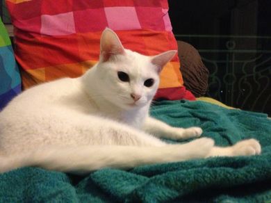 280113_tia4.jpg