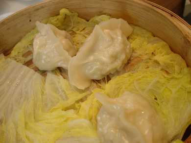 290708_gyoza.jpg