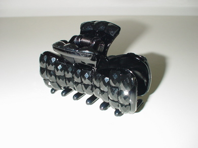 300808_hair_clip.jpg