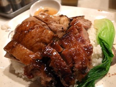 310111_loast_goose.jpg