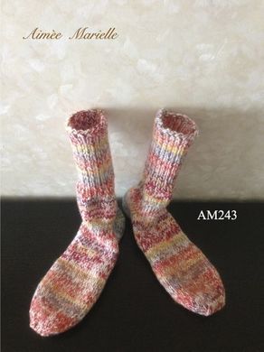 am243_1.jpg