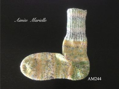 am244_2.jpg