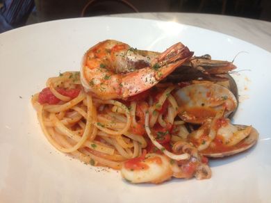 habitu_pasta1.jpg