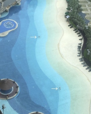 pool2_040416.jpg